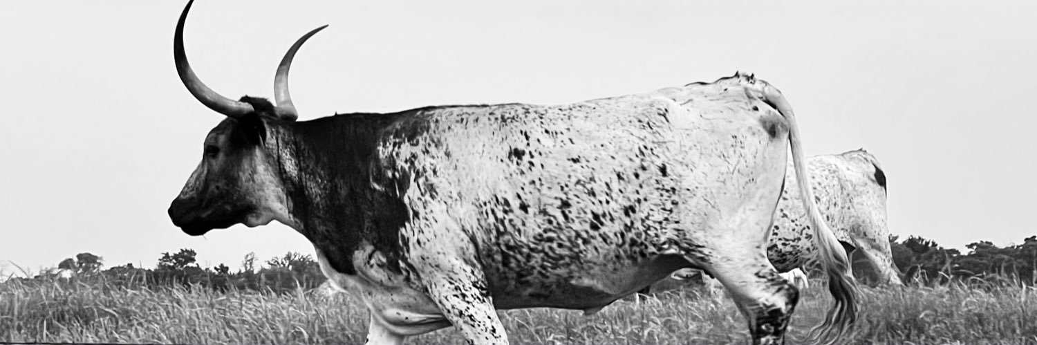 cameronrogers03's profile banner image