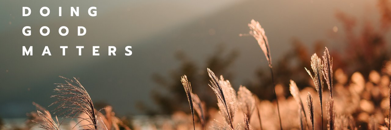 human_evolving's profile banner image