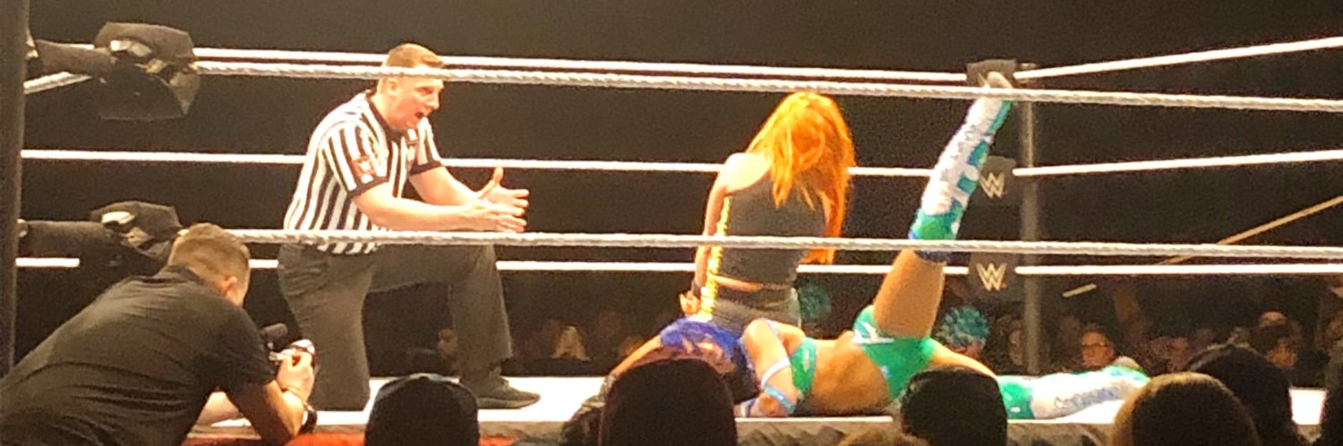 brittney w banner