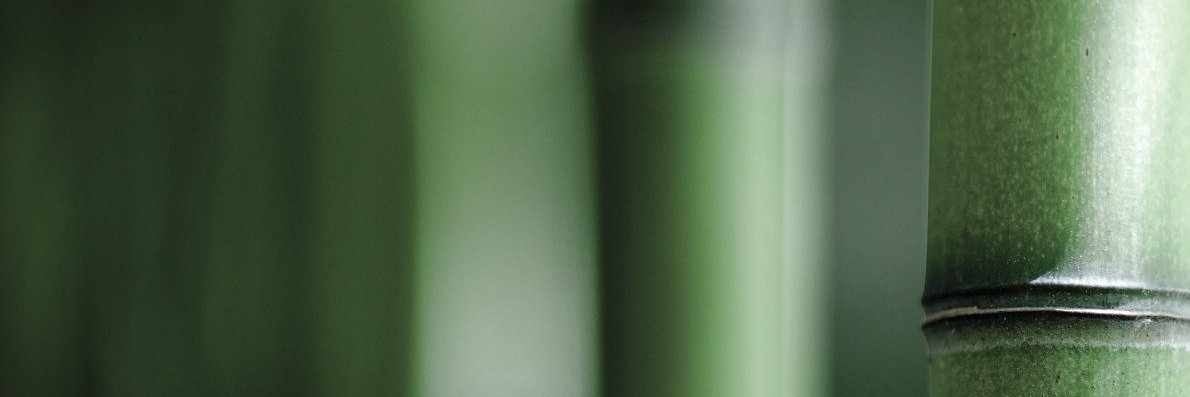 HRJasonB's profile banner image