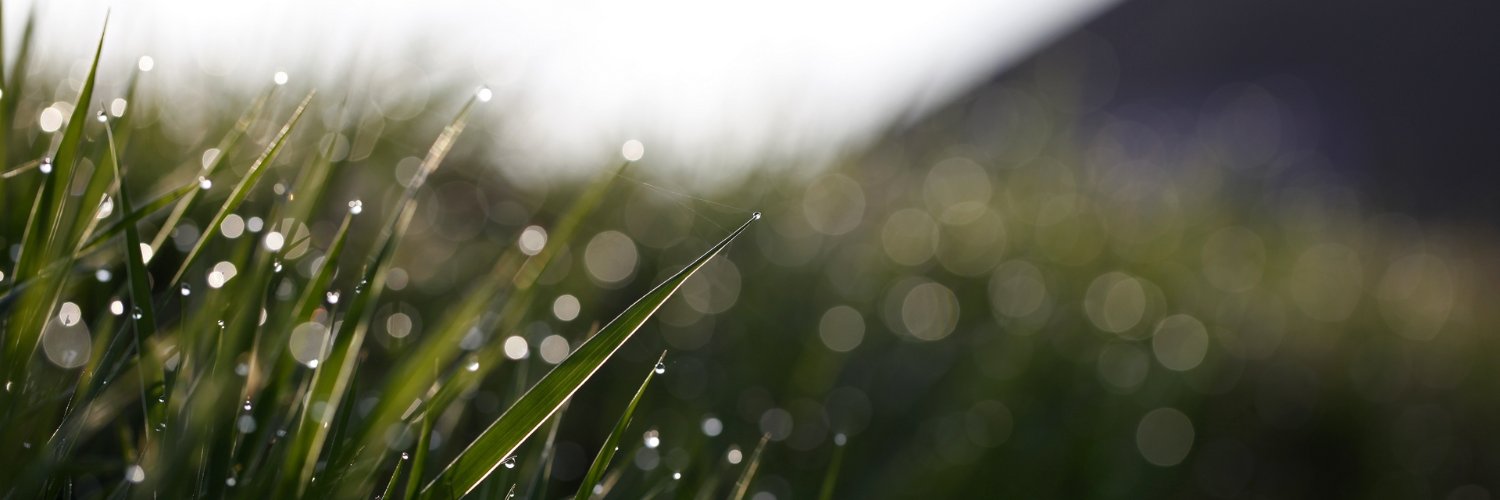 demidoff.zk | ETHGas ⛽ banner