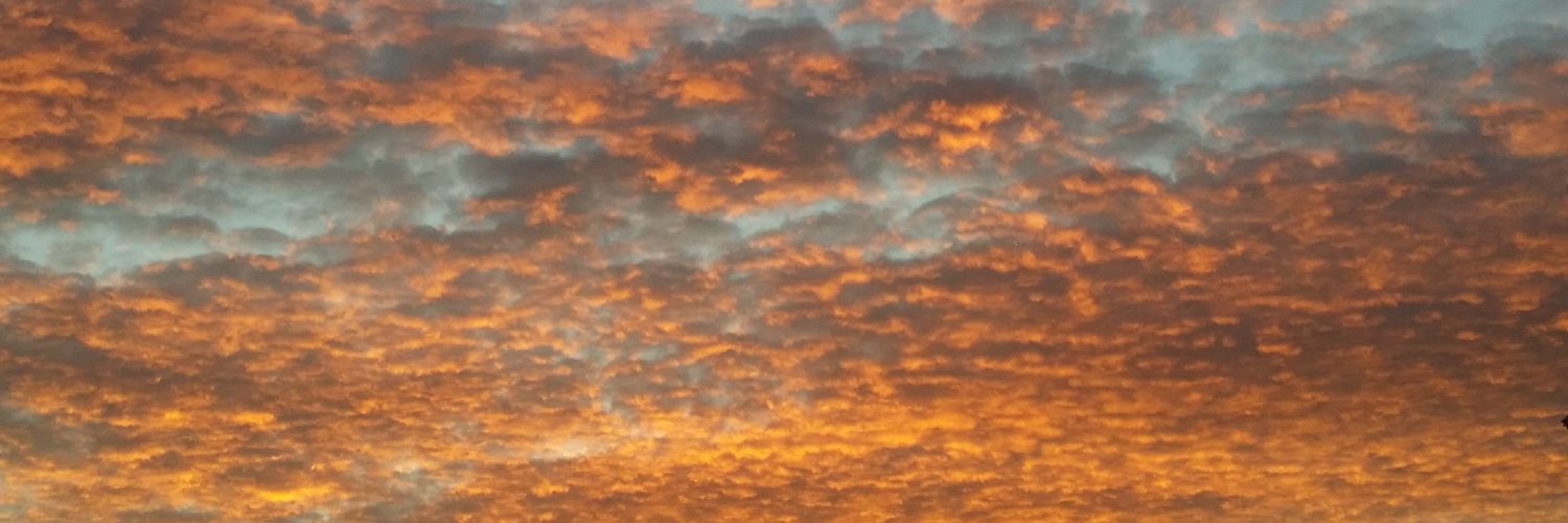 anaaabelenn_'s profile banner image