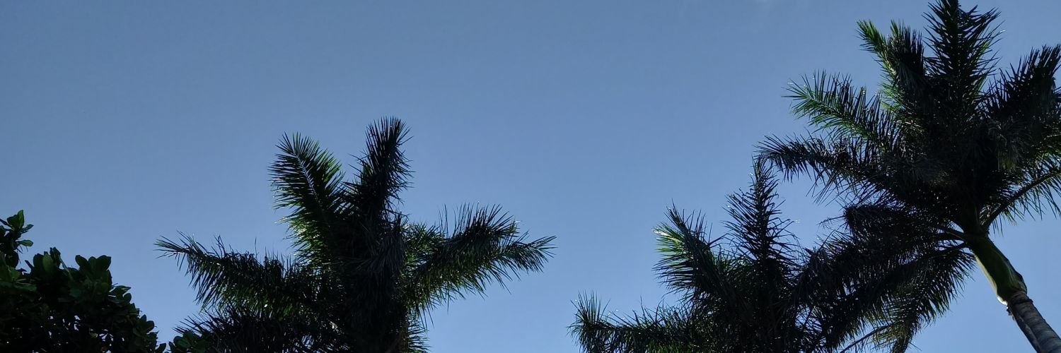 TonantzinMitzi's profile banner image