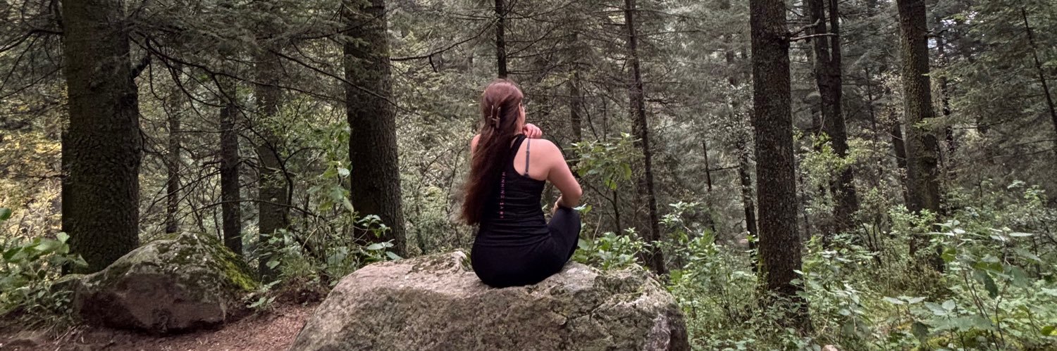 vannevlez's profile banner image