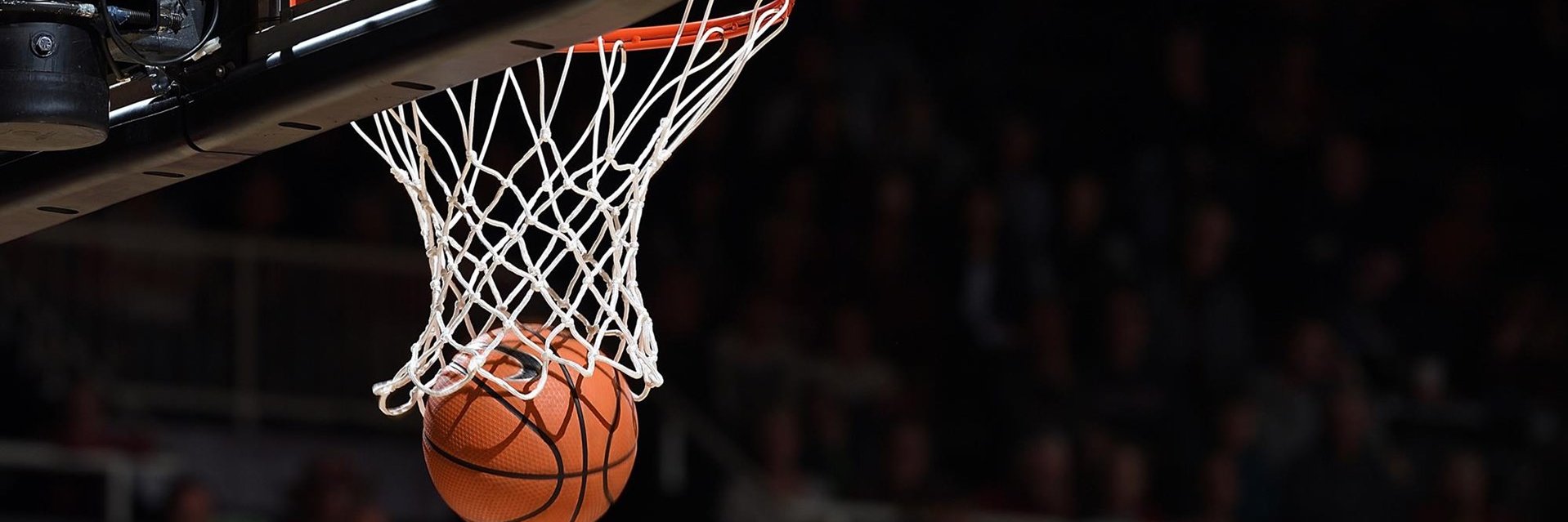 Basketball Australia Pathways banner