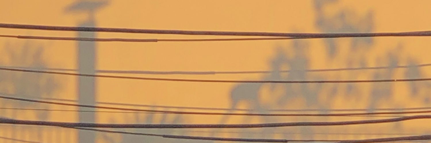 MeriSagrera_'s profile banner image