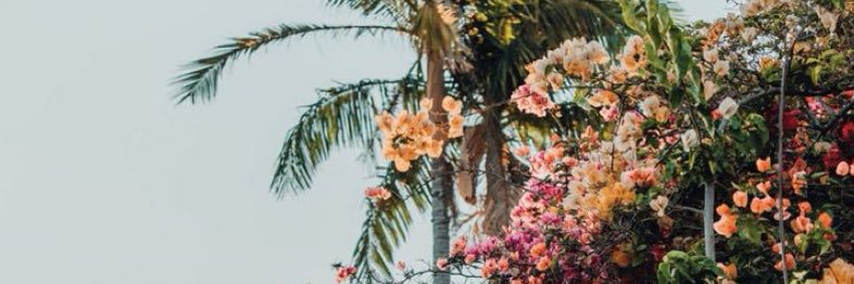 RY banner