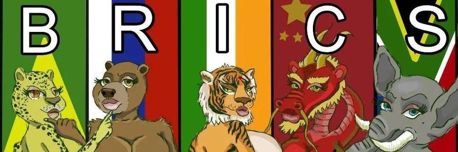 brendakct's profile banner image