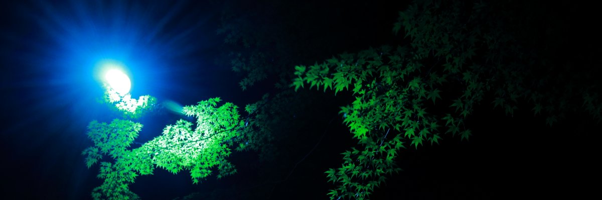 tkm_reverSnow's profile banner image