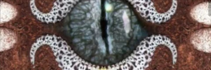 TheHotSignOn🍩 banner