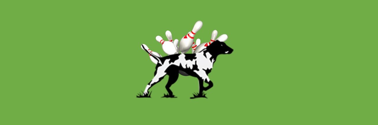 VBHSBowling's profile banner image