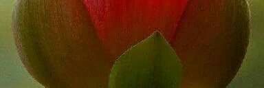 cassy_cerny's profile banner image
