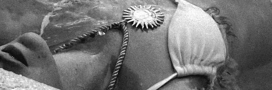 Shannon. banner