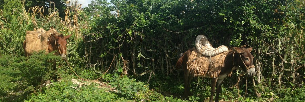 Left Coast Political Ecology banner