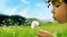 cit_trina's profile banner image