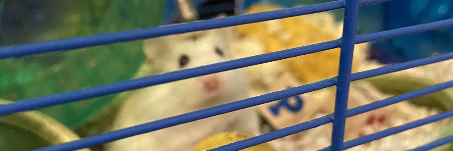 stiiizzy's profile banner image