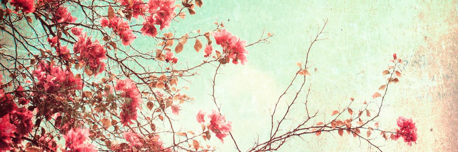 soy_kari🌼 banner