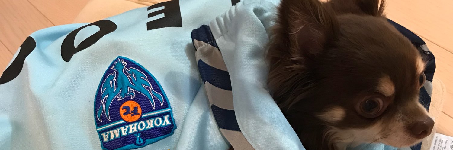 daibogiocatore's profile banner image