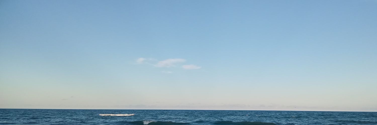 chanolll's profile banner image