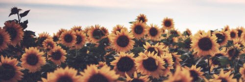 CeeceeValez's profile banner image