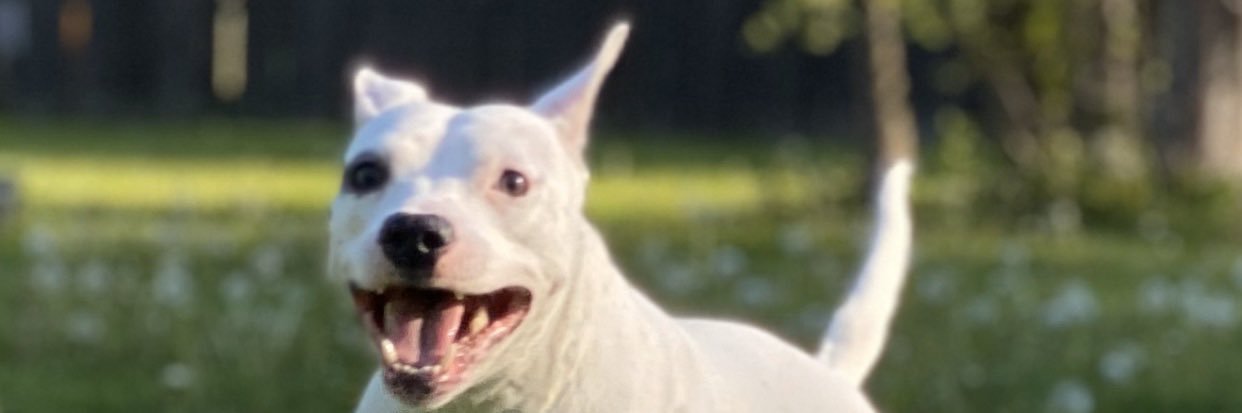 Fooz🏳️‍🌈 banner