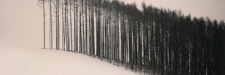 TrackeyB's profile banner image