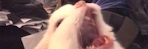 FunkyZombie234's profile banner image