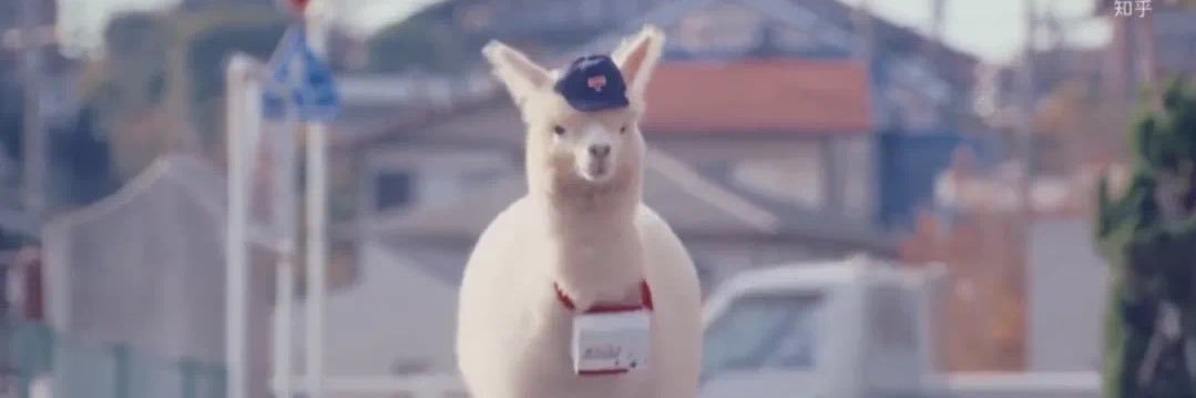llamacorn.eth banner