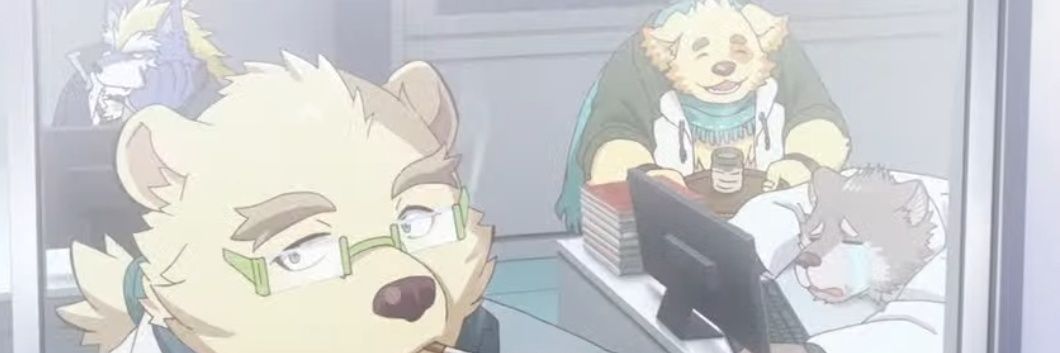 all ashambles banner