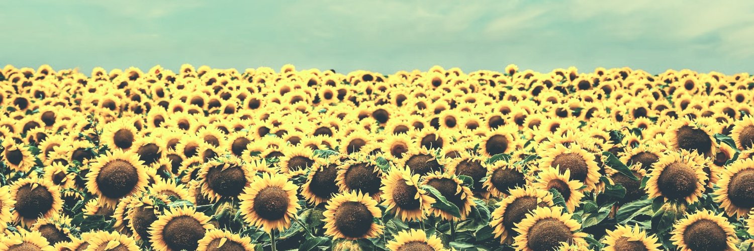 とわこクロニクル🌐 banner