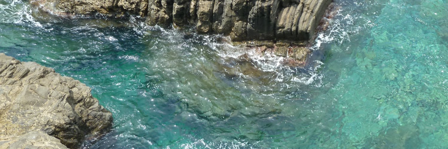 guadatalarico_'s profile banner image