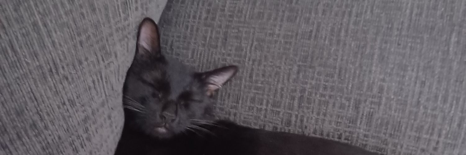 LiquidSnake.eth banner