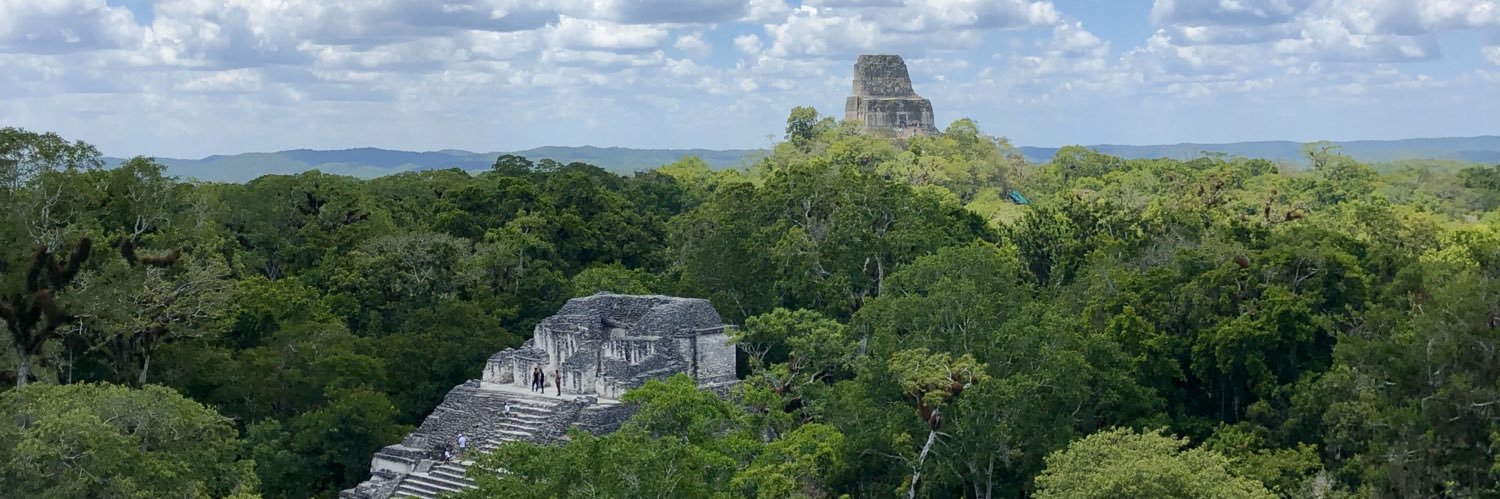 Meredith Peebles banner