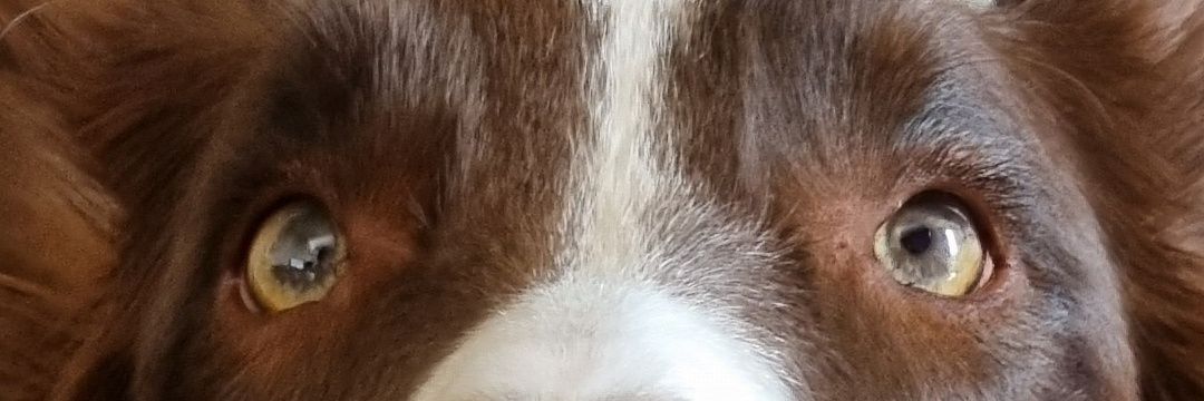 randresleon's profile banner image