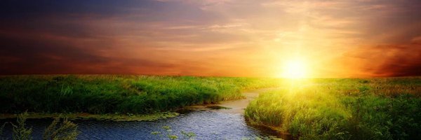 dimulcahy Profile Banner