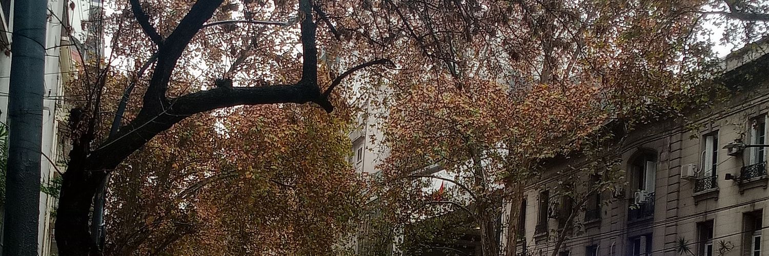 florciael's profile banner image