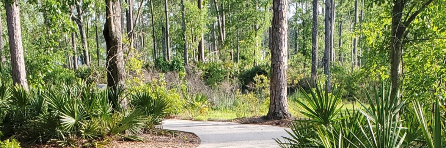 CynLizBow's profile banner image