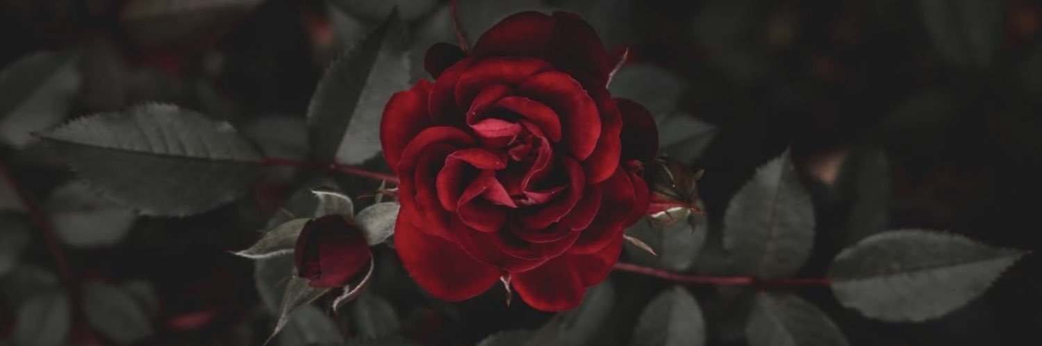 nohirez6's profile banner image