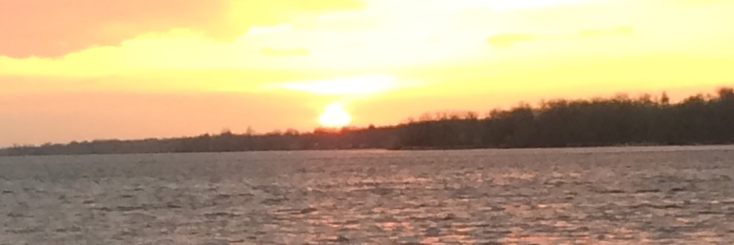 AnnieGunkel's profile banner image