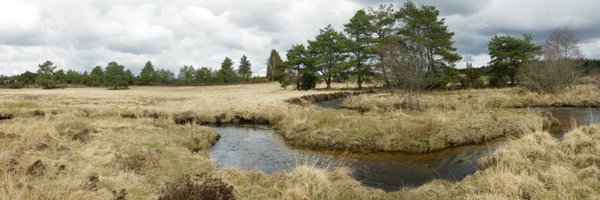 EcoFlowS Profile Banner
