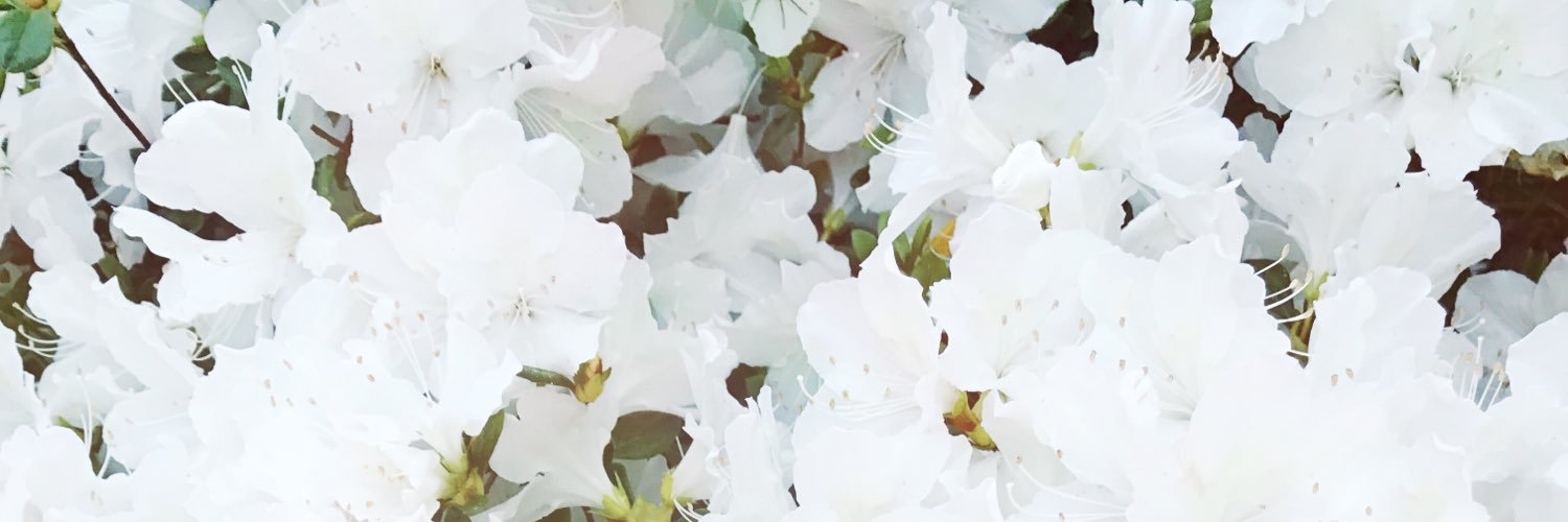 Rachel_W_Barnes's profile banner image