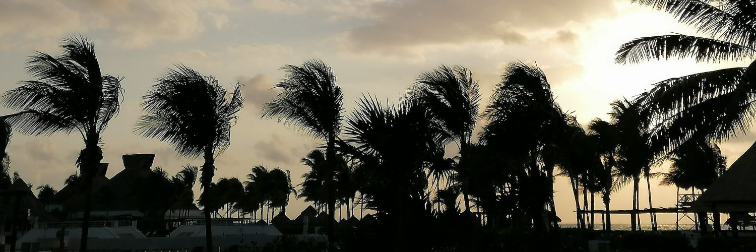 RandyCruzMX's profile banner image