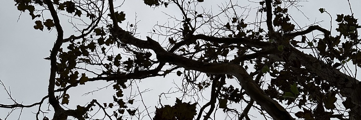 DanielFojas's profile banner image