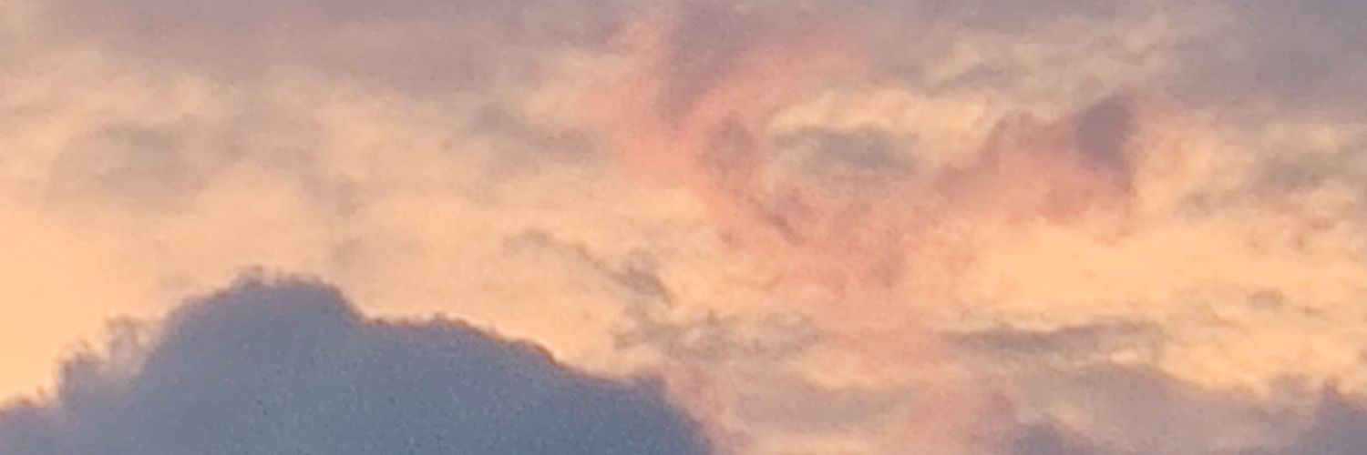 Priylu's profile banner image