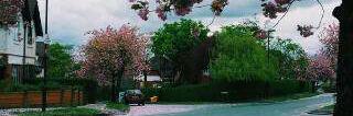 mlaaaak23's profile banner image
