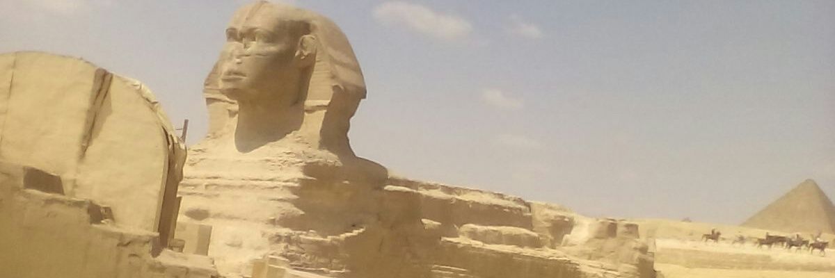 fisho5555's profile banner image