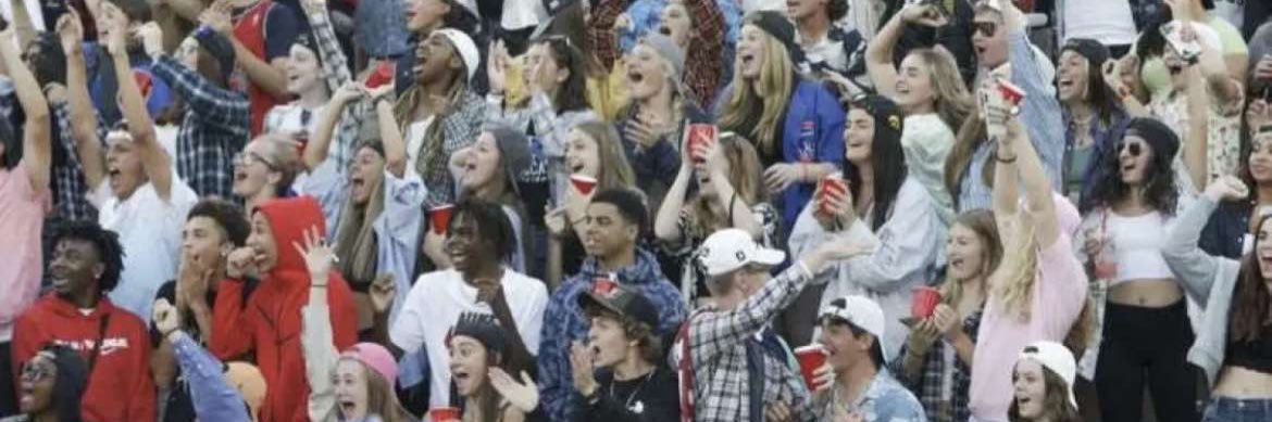 Wildcat Nation banner