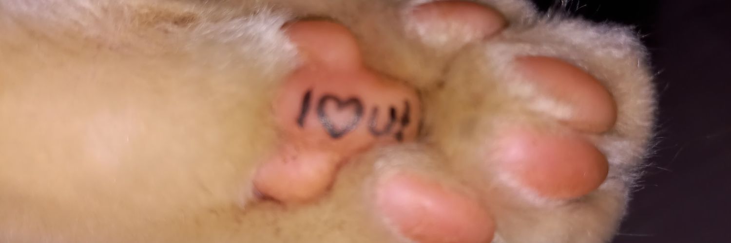 _njauu's profile banner image