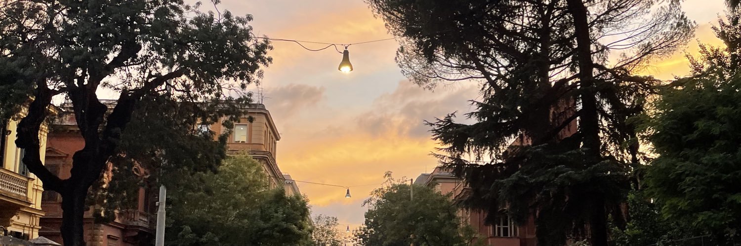 daaaaanimal's profile banner image