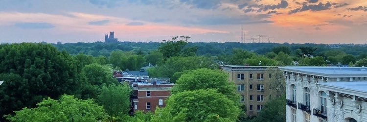 Angela Allison banner